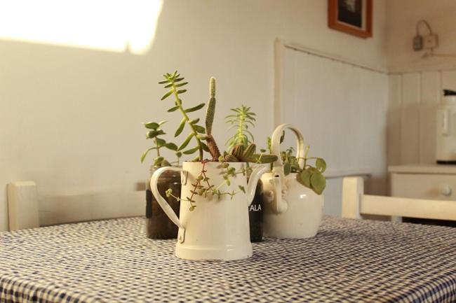Alma De Proa Bed & Breakfast San Antonio de Areco Kültér fotó